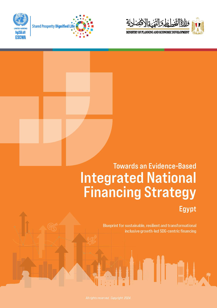 Towards an Evidence-Based Integrated National Financing Strategy: Egypt