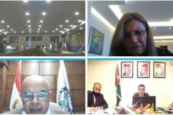 Virtual meeting of the Statistical Committee